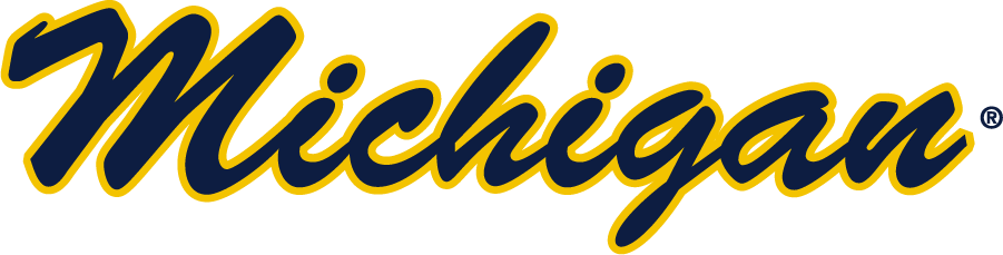 Michigan Wolverines 2016-Pres Wordmark Logo v2 diy iron on heat transfer